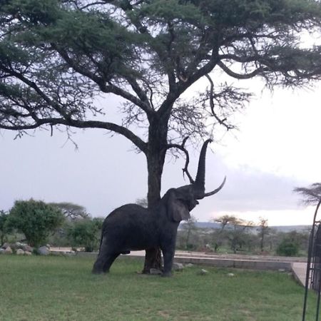 Seronera Wildlife Lodge Serengeti Exterior photo