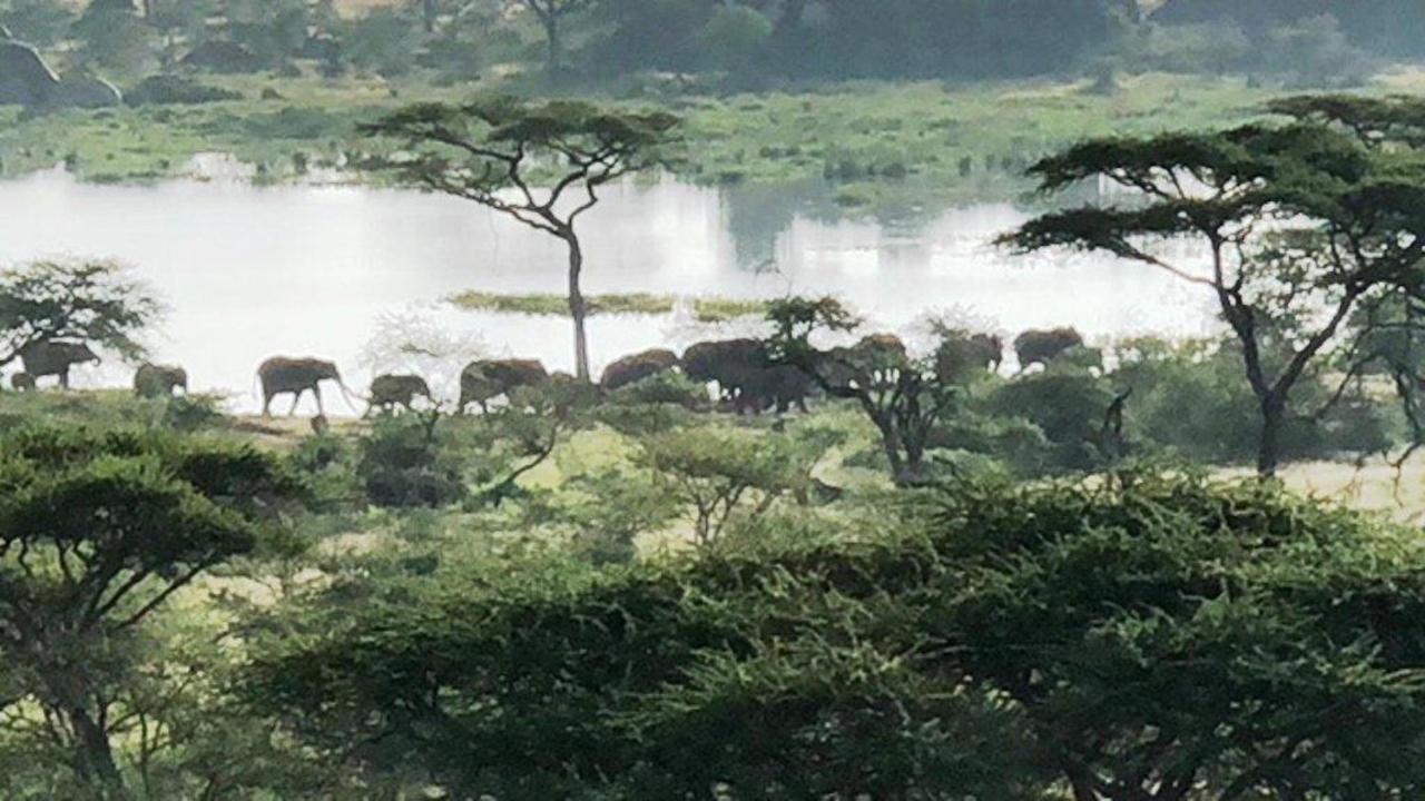 Seronera Wildlife Lodge Serengeti Exterior photo